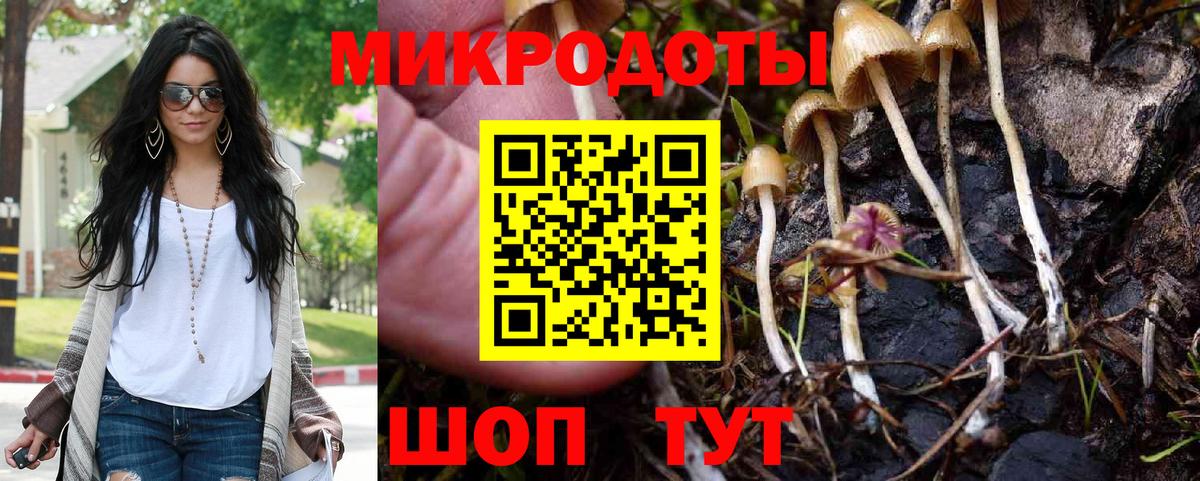 Псилоцибиновые грибы Magic Shrooms Вятские Поляны