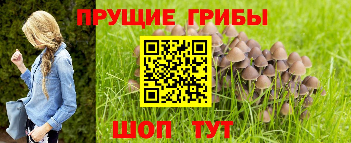 Вятские Поляны  Псилоцибиновые грибы Cubensis  Галлюциногенные грибы Magic Shrooms  Вход с VPN 